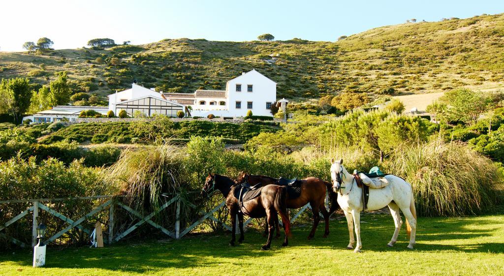 Hotel Fuente Del Sol 安特克拉 外观 照片